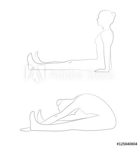 474x500 exercise for a healthy body and a beautiful posture vector - Healthy Body Drawing