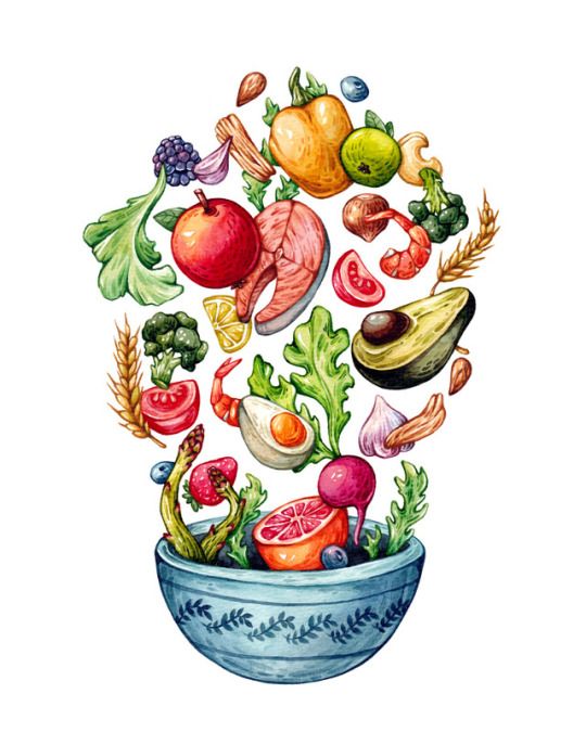 Healthy Food Drawing At Paintingvalley Com Explore Collection Of