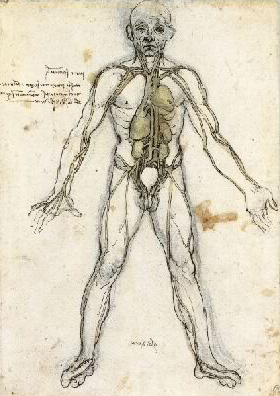 280x396 Leonardo Da Vinci - Heart And Lungs Drawing