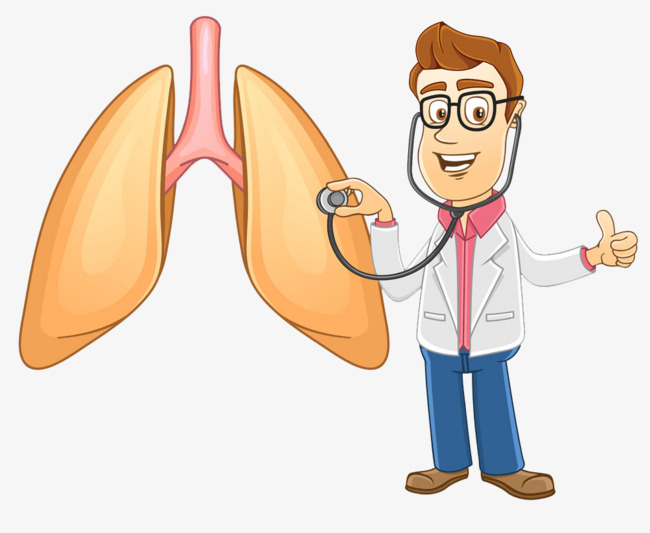 650x533 Lung High Clear Buckle Material, Lung, Heart And Lungs, Cartoon - Heart And Lungs Drawing