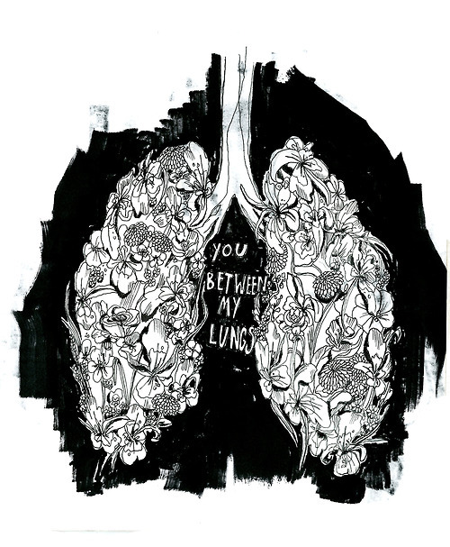 500x607 Bef - Heart And Lungs Drawing