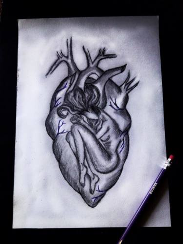 375x500 Human Heart,sketch Drawing - Heart Art Drawing