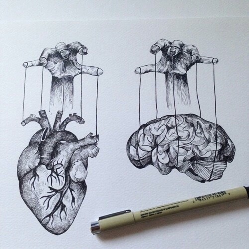 500x500 Brain Drawing Tumblr - Heart Art Drawing