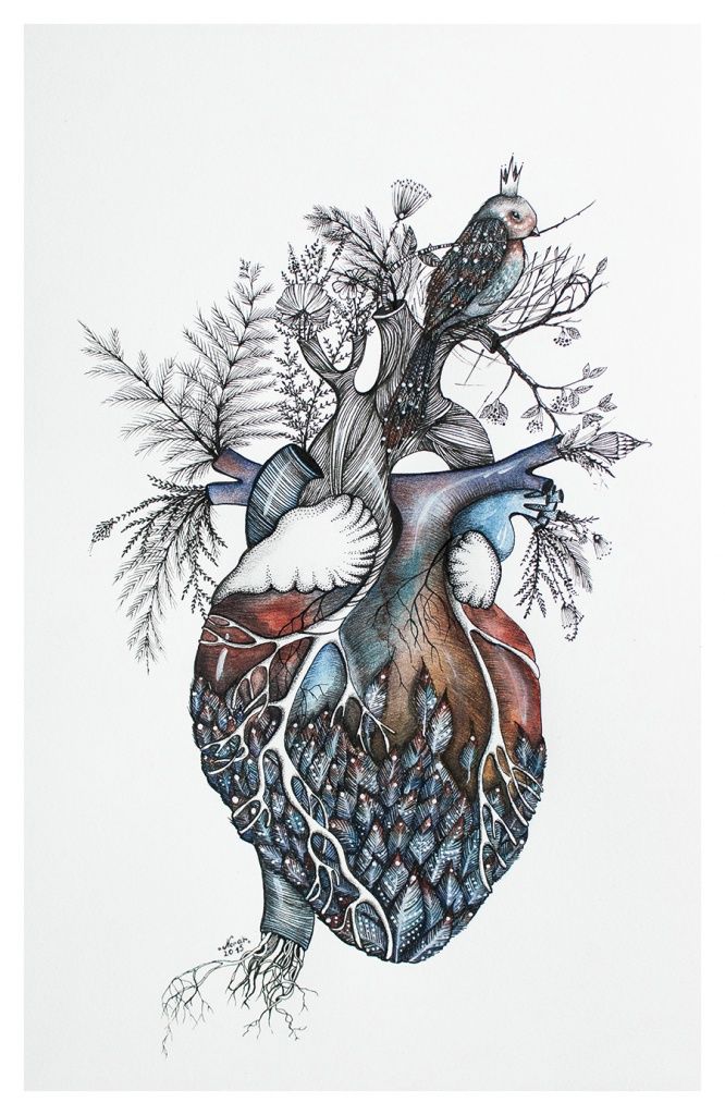 666x1024 Anatomical Heart Art - Heart Art Drawing