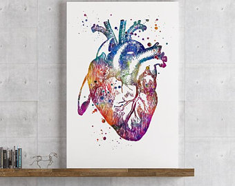 340x270 Anatomical Heart Art Etsy - Heart Art Drawing