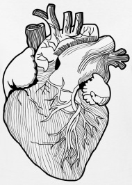 190x266 Sweet Dreams And Cigarettes Anatomic Heart Drawing T Shirt - Heart Black And White Drawing