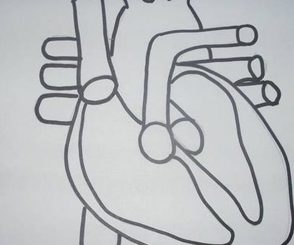 600x500 How To Draw A Picture Of A Heart Our Pastimes Pertaining - Heart Diagram Drawing