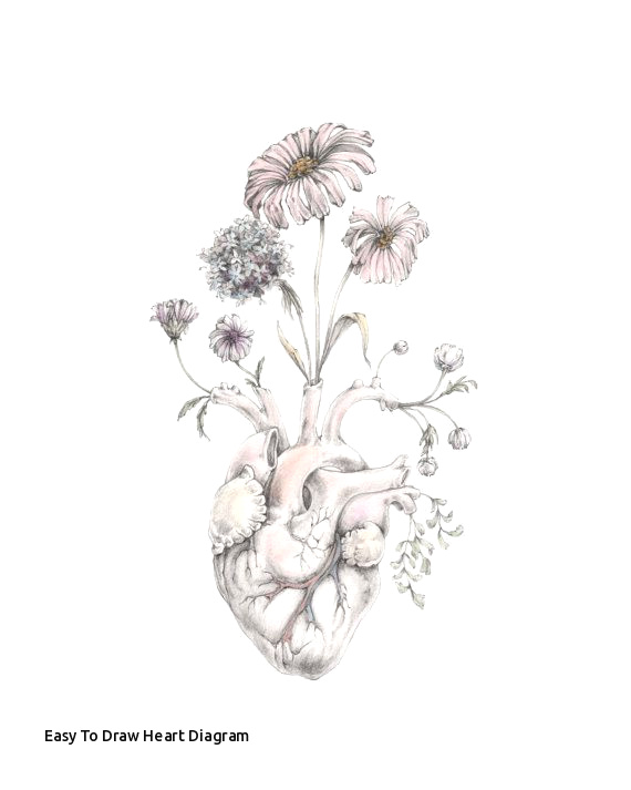 570x713 Cute Easy Drawings For Boyfriend Easy To Draw Heart Diagram Cute - Heart Diagram Drawing