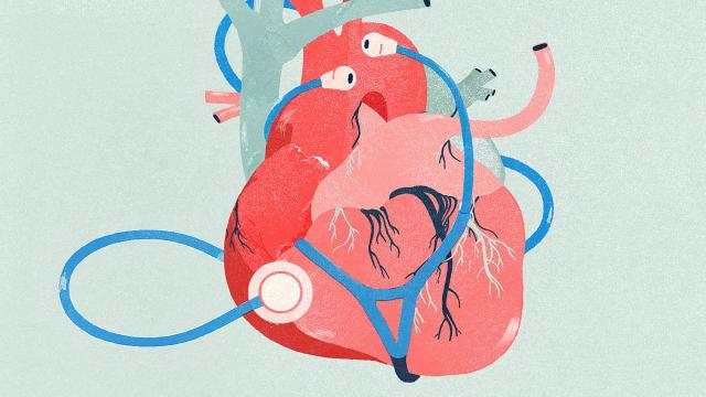 640x360 Heart Disease In A Heart Healthy Life - Heart Disease Drawing
