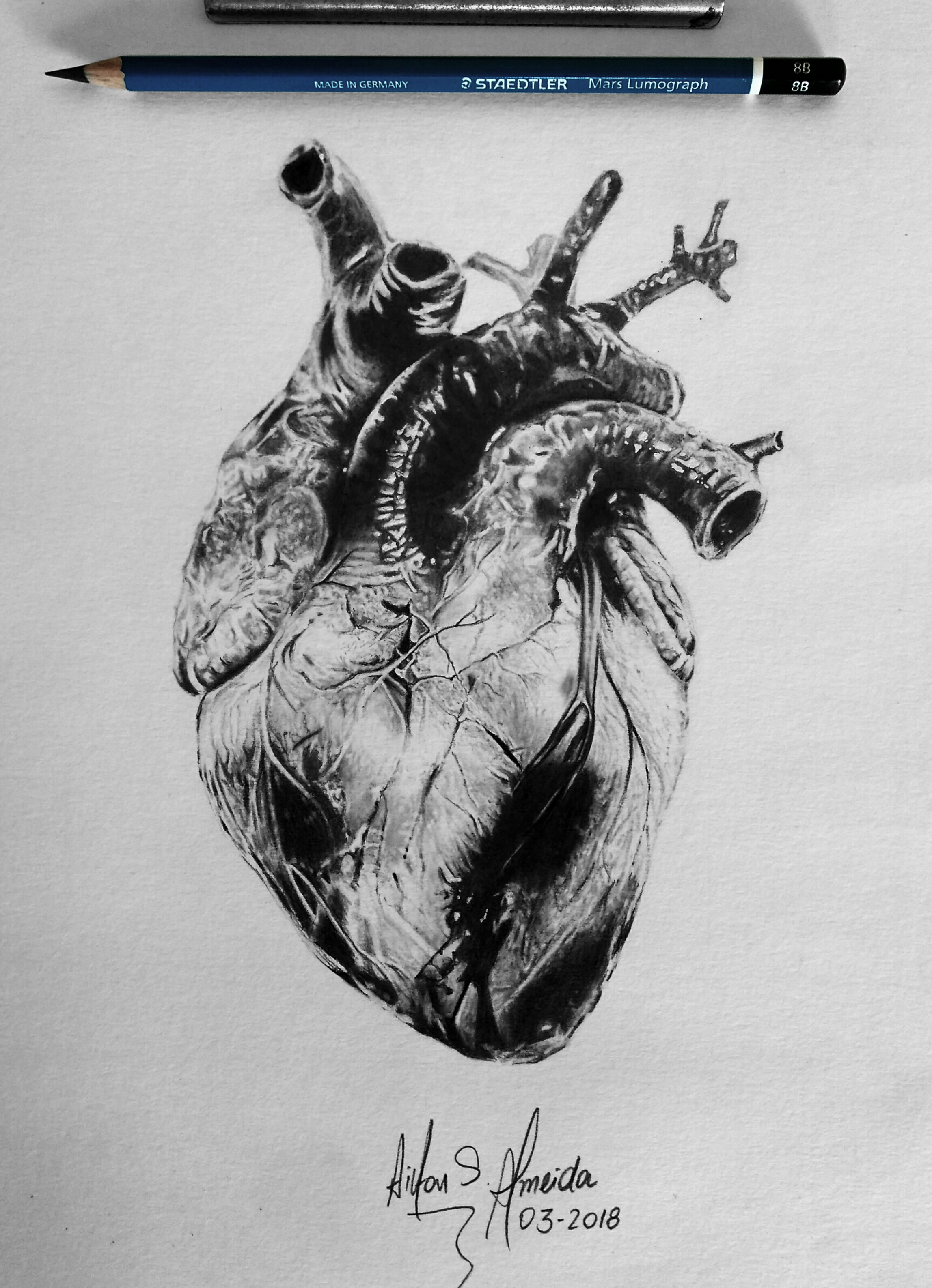 2296x3176 Human Heart Drawing - Heart Drawing Images