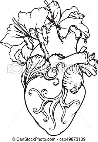 323x470 Huge Collection Of 'human Heart Drawing Outline' Download More - Heart Drawing Images