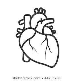 260x280 Pictures Drawings Of Realistic Heart - Heart Drawing Images