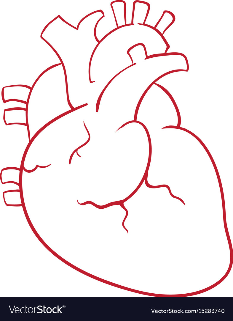 786x1080 Heart Drawing - Heart Drawing Pictures