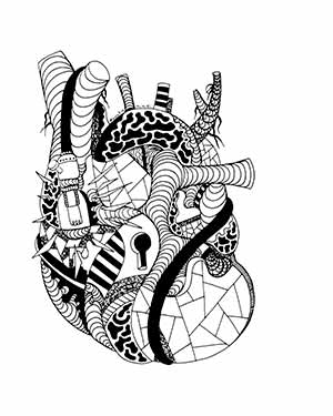 300x375 Human Heart Drawing - Heart Drawing Pictures