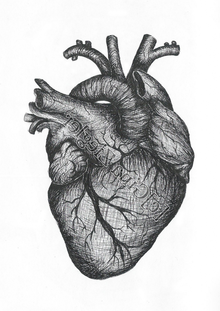 35 Latest Real Heart Drawing Pictures Armelle Jewellery