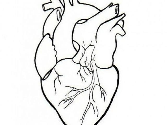 640x480 Real Heart Drawing - Heart Drawing Real