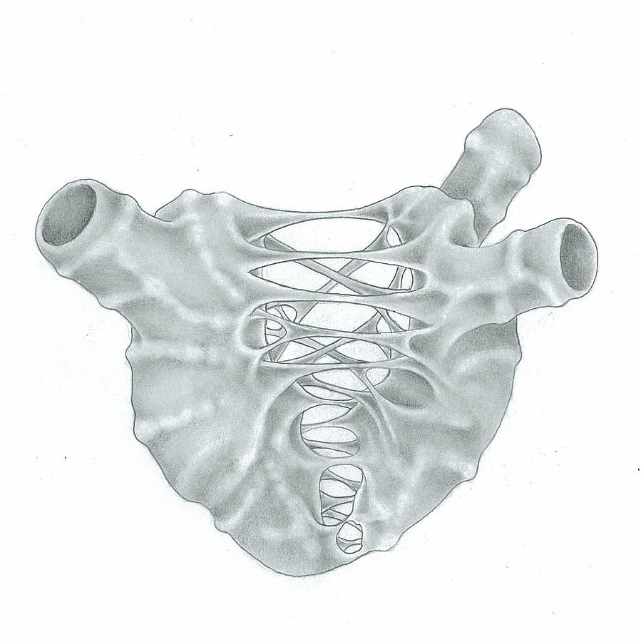 899x900 Torn Heart Drawing - Heart Drawing Real