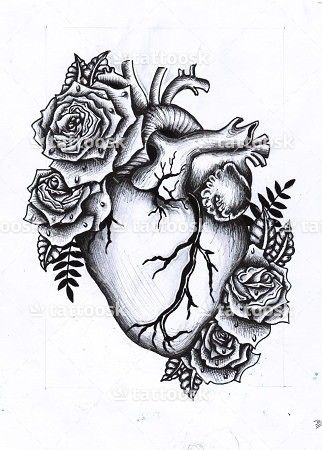 322x450 Tattoo Ideas Tattoos, Human Heart Tattoo - Heart Drawing Tattoo