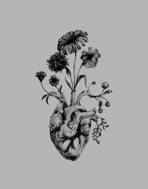 500x636 Heart Drawing Nature For Free Download - Heart Drawing Tumblr