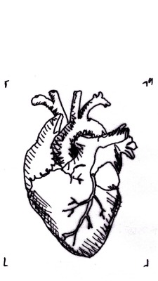225x400 Anatomical Heart Tumblr - Heart Drawing Tumblr