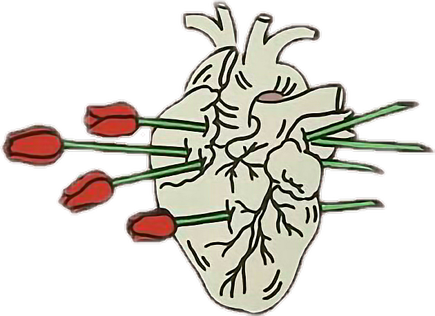 630x458 Heart Roses Flower Draw Tumblr - Heart Drawing Tumblr