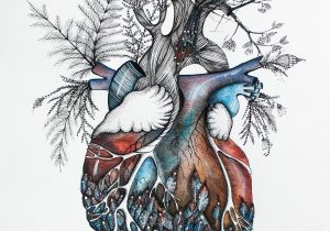 300x210 anatomical heart drawing tumblr heart drawing tumblr melissa - Heart Drawing Tumblr