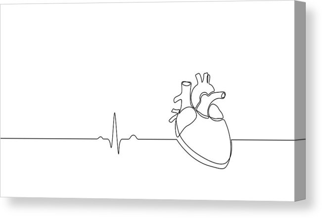 651x442 Single Continuous Line Art Anatomical Human Heart Silhouette - Heart Drawing Vector