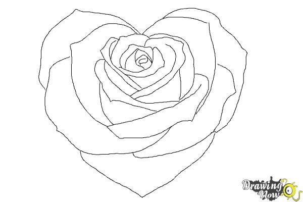 Heart Flower Drawing at PaintingValley.com | Explore collection of