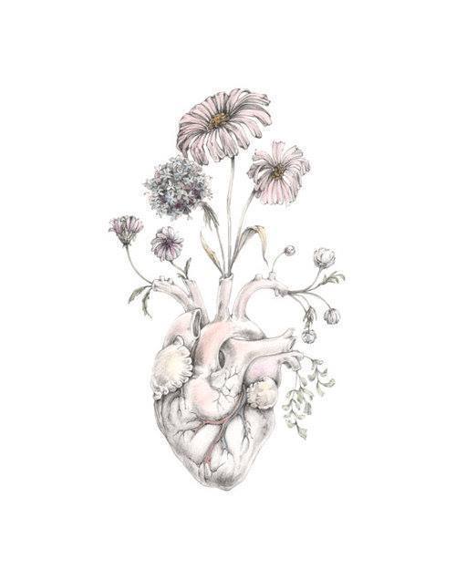 500x625 Vintage Heart Flowers Pink Rosa Flores Whtev R - Heart Flower Drawing