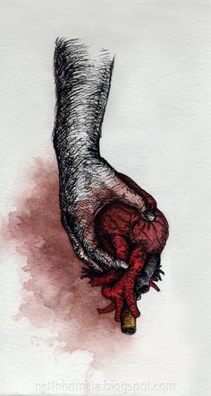 236x441 Best Hearts Images Anatomia - Heart In Hand Drawing
