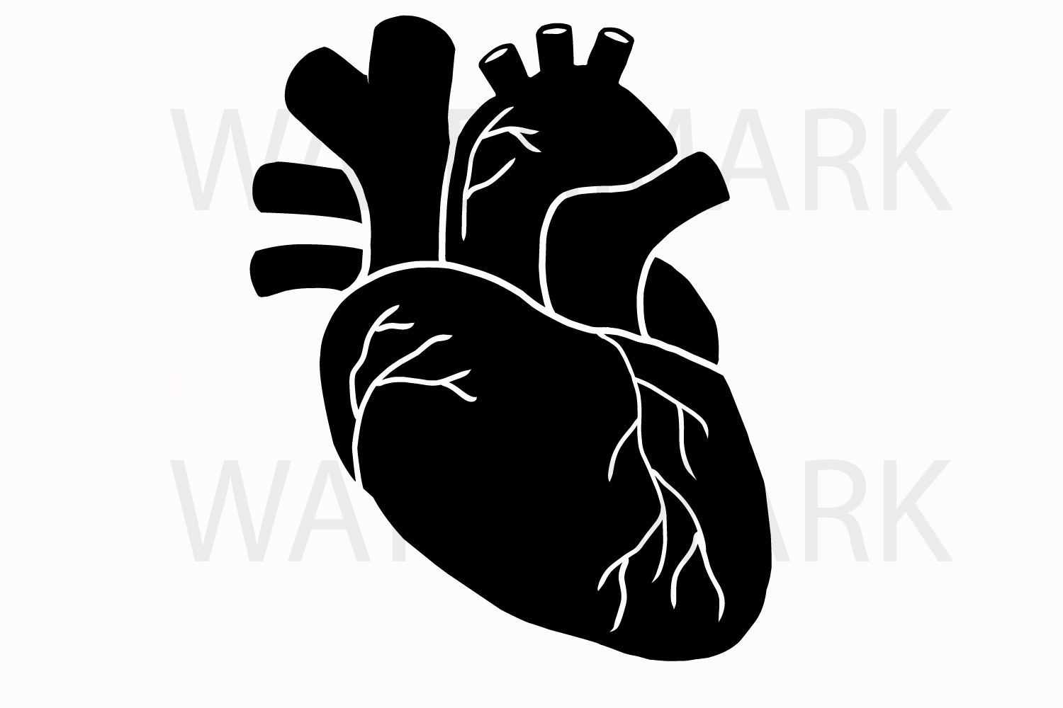 1500x1000 Human Real Heart In Black - Heart In Hand Drawing