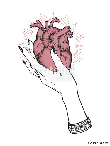 375x500 Human Heart In Graceful Female Hand Isolated Sticker, Print - Heart In Hand Drawing