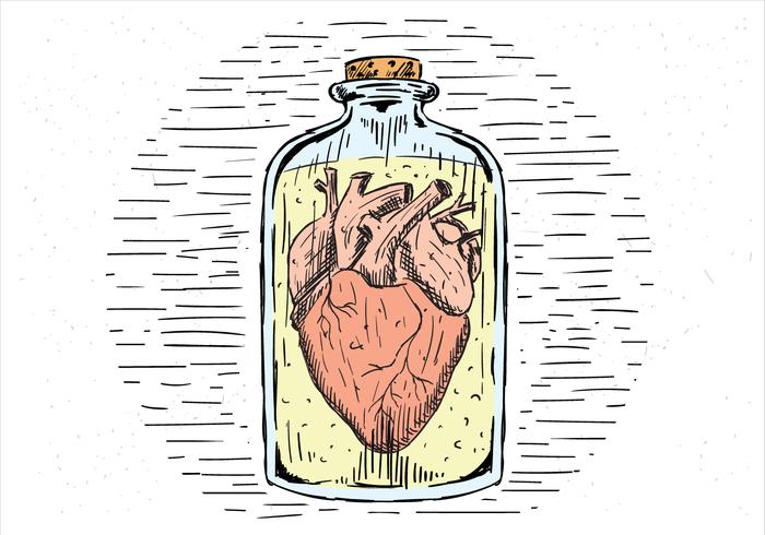 700x490 Free Hand Drawn Vector Heart In A Jar - Heart In Hand Drawing