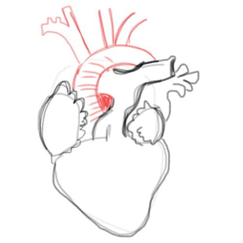 500x500 Human Heart Drawing - Heart Line Drawing