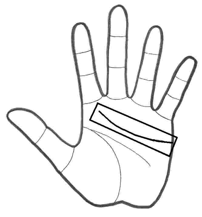 666x714 The Three Major Hand Lines - Heart Line Drawing
