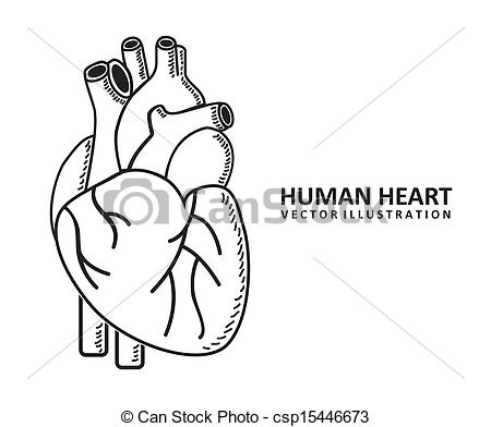 450x392 Human Heart Clipart Drawing Great Free Clipart, Silhouette - Heart Line Drawing Clip Art