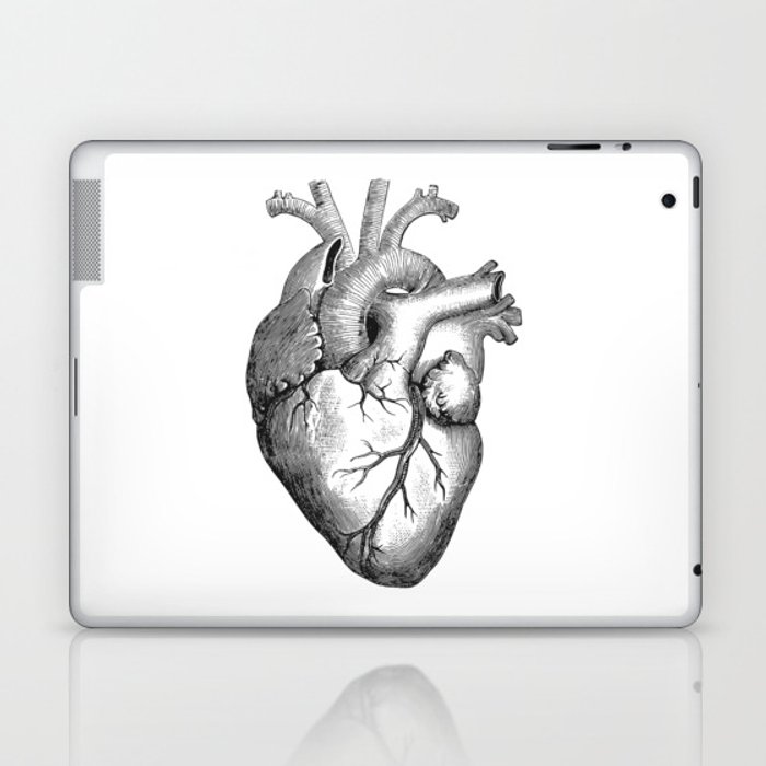 700x700 Real Anatomical Human Heart Drawing Laptop Ipad Skin - Heart Organ Drawing
