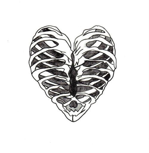 500x514 love drawing heart sketch skeleton bones ribs ribcage organ - Heart Organ Drawing