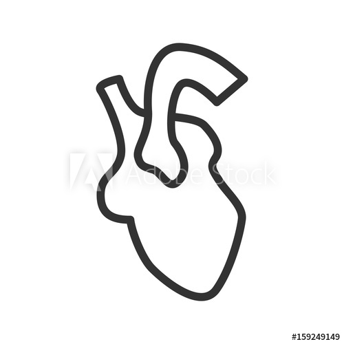 500x500 Heart Organ Linear Icon Thin Line Illustration Vector Isolated - Heart Outline Drawing