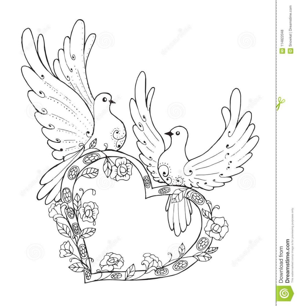 1024x1054 Coloring Pages Couple Love Pigeons Lovebirds Outline Drawing - Heart Outline Drawing
