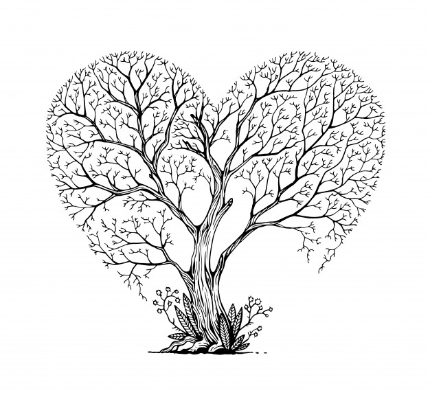 626x575 Heart Outline Vectors, Photos And Free Download - Heart Outline Drawing