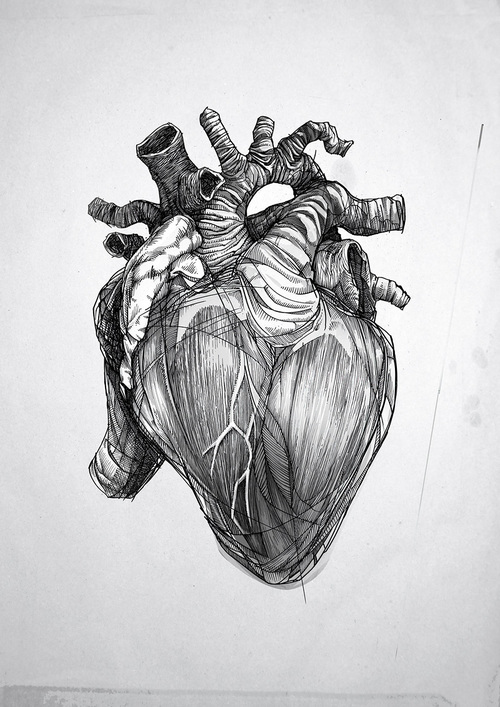 500x707 Amazing Heart Pencil Sketch Via Tumblr On We Heart It - Heart Pencil Drawing