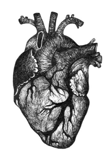362x499 Real Heart With Flowers Drawing - Heart Real Drawing