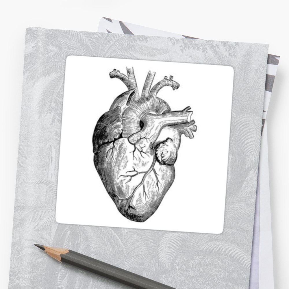 1000x1000 Realistic Heart Drawing Metal Print - Heart Real Drawing