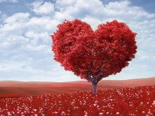 220x165 Buy Heart Shape Drawing And Get Free Shipping - Heart Shaped Diamond Drawing