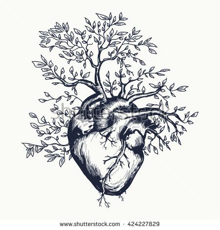 450x470 Anatomical Human Heart From Which The Tree Grows Heart Tattoo Art - Heart Tree Drawing