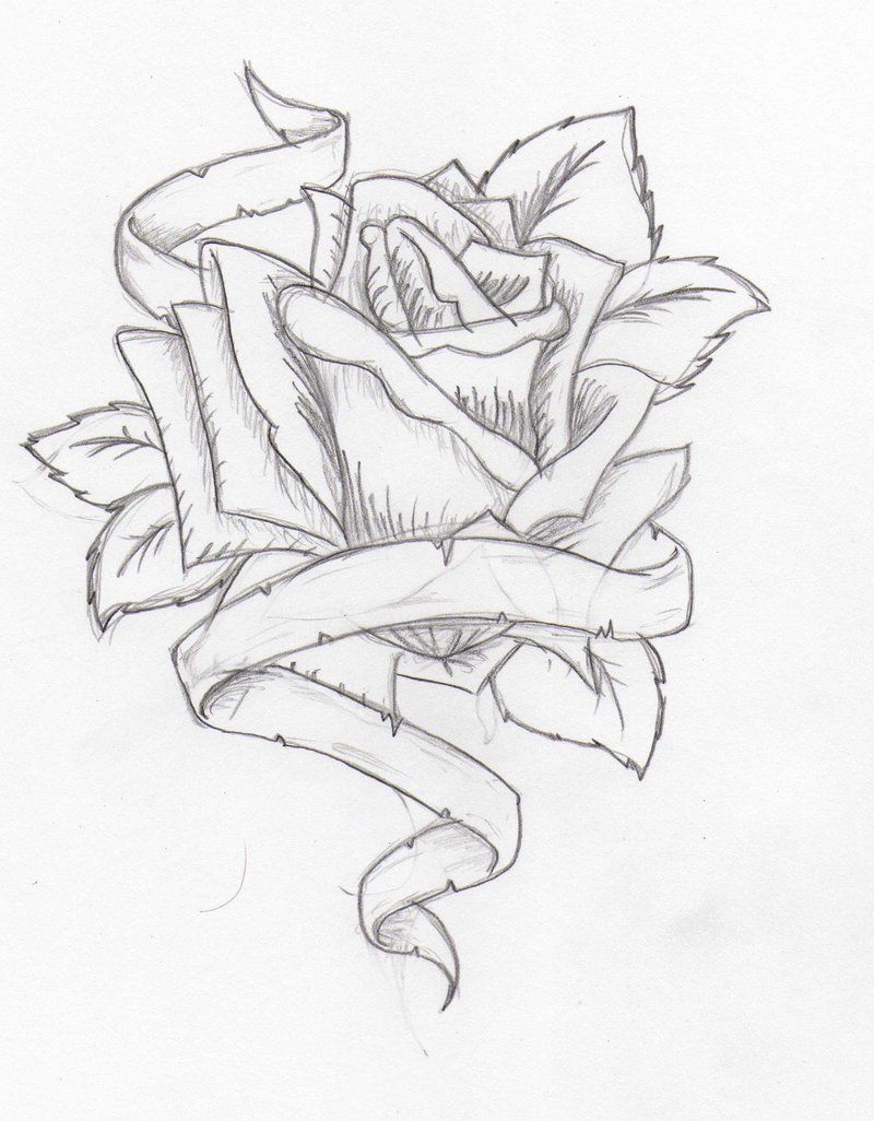 800x1026 Drawings Of Hearts With Ribbons And Roses Bouquet Idea Drawing - Heart With Ribbon Drawing