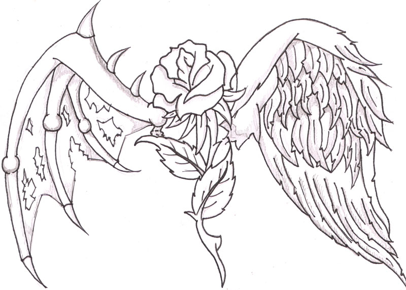 800x571 Hearts With Wings And Roses Black And White - Heart With Wings Drawing