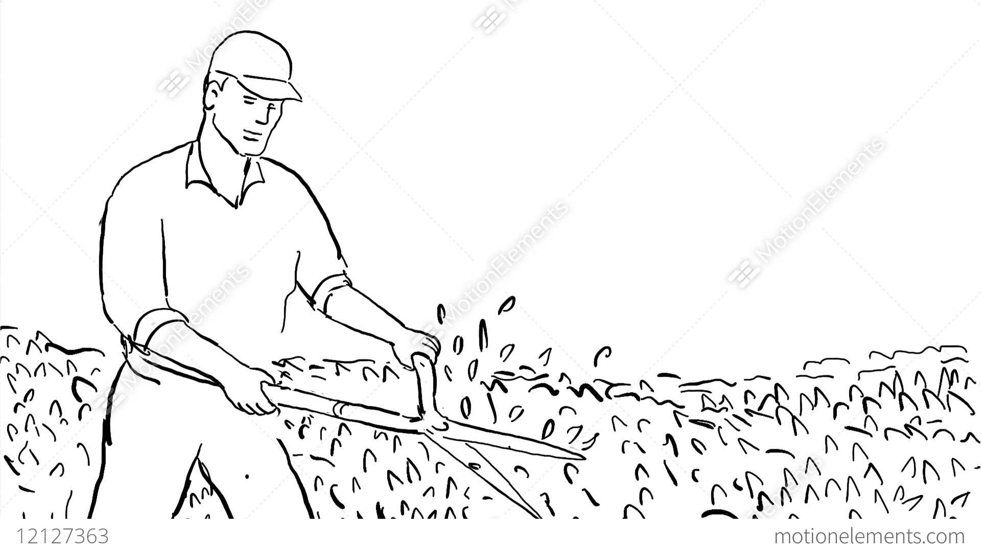 1920x1080 Gardener Trimming Hedge Drawing Animation Stock Animation - Hedge Drawing