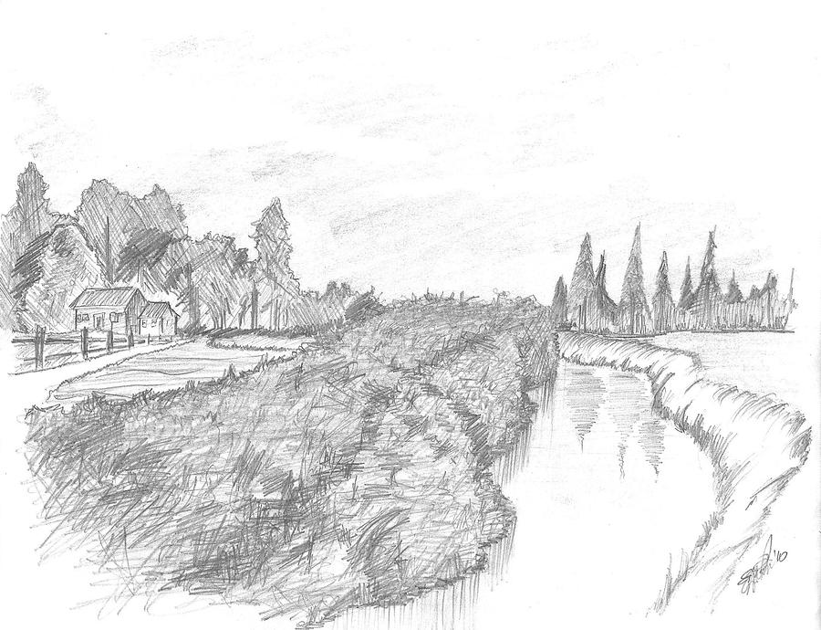 900x690 Hedge Drawing - Hedge Drawing